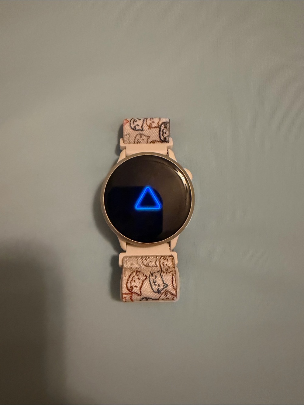 Garmin Vivoactive 6